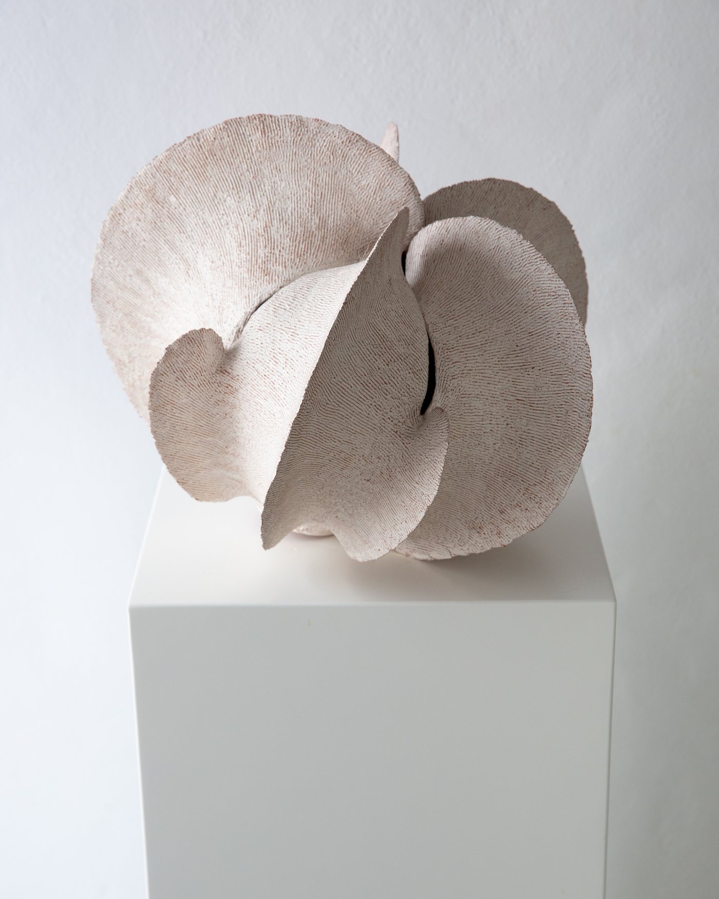 Pale shell-inspired ceramic bloom form on a white plinth