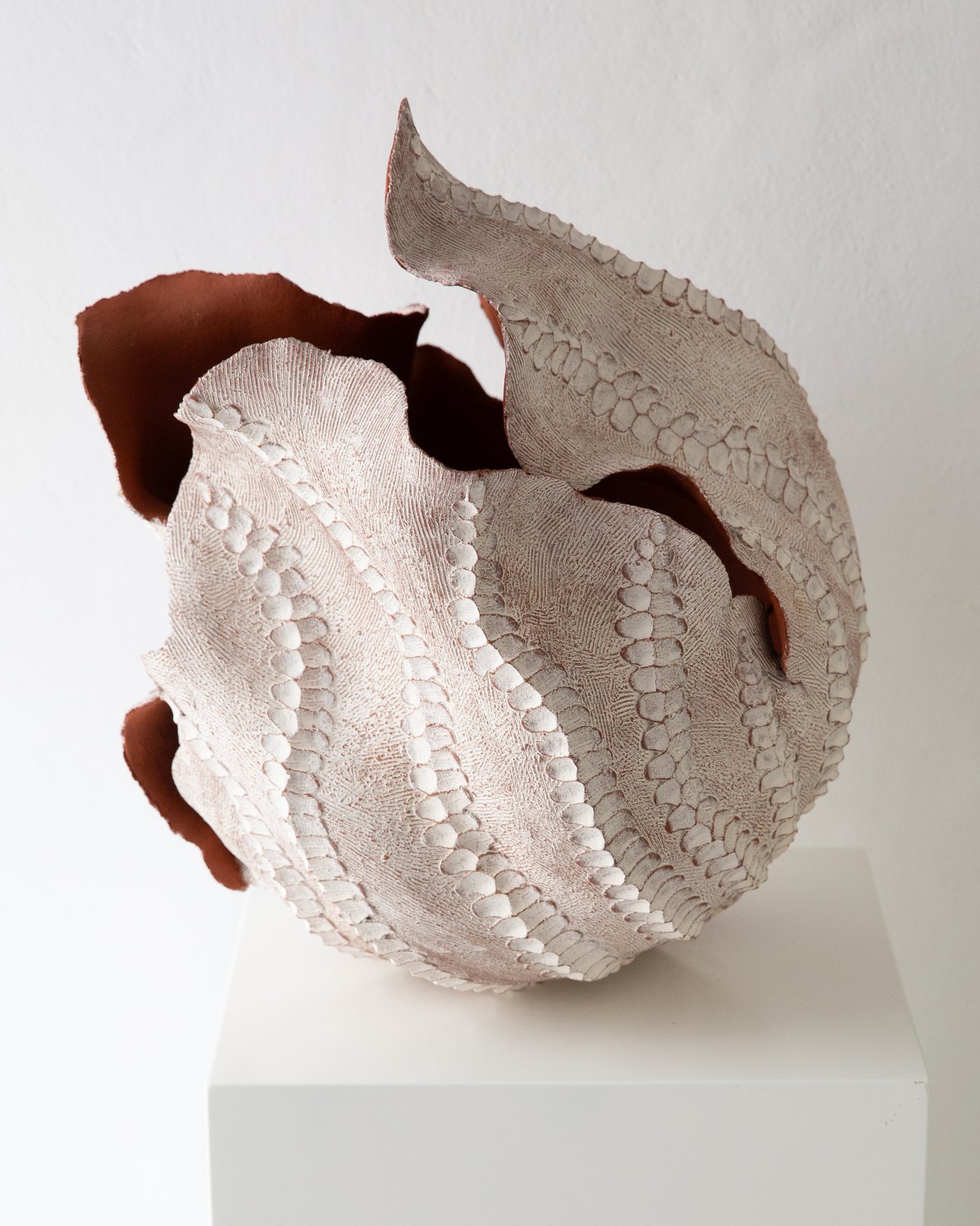 White ribbed bloom-like ceramic form with warm terracotta interior