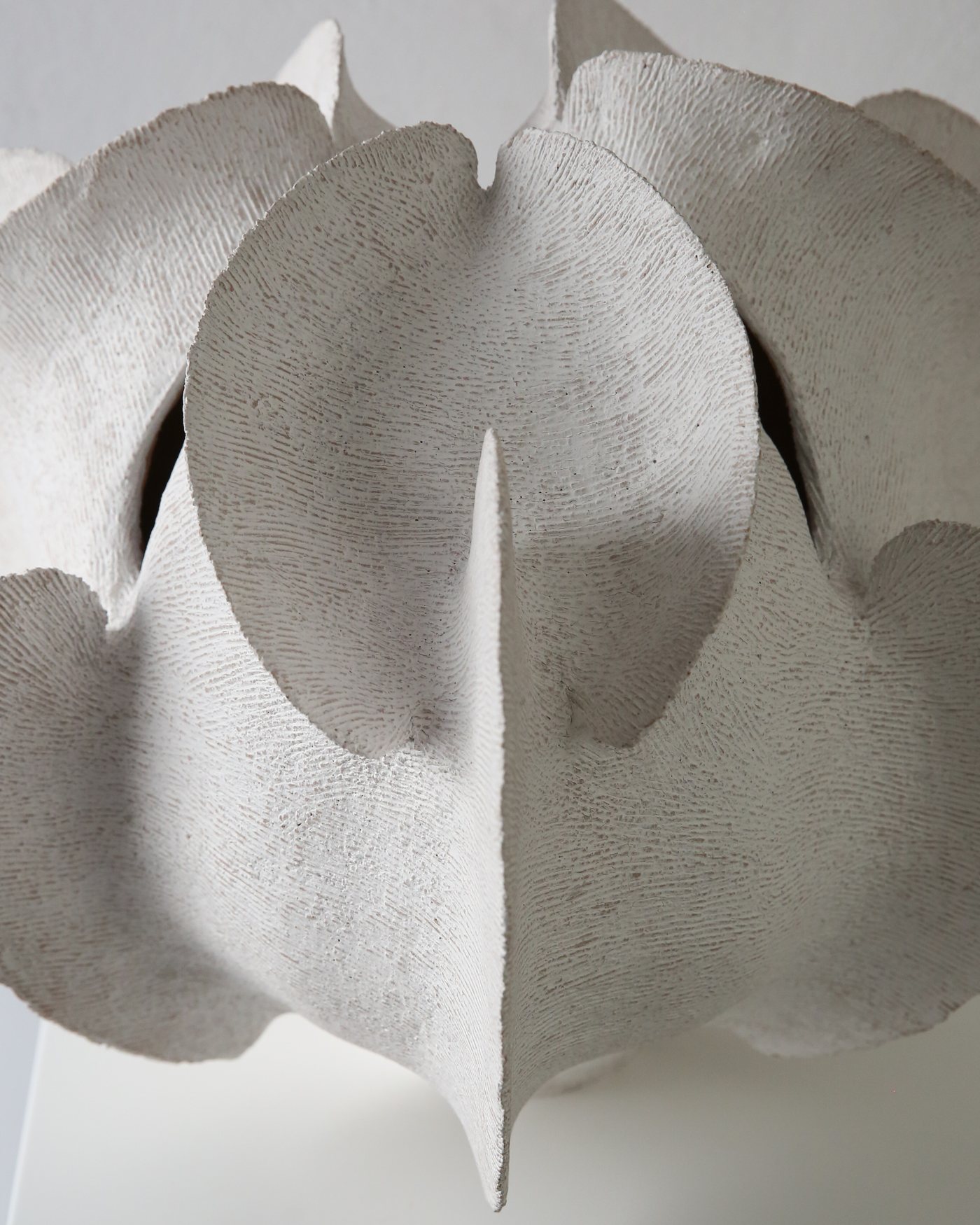 Close detail of clustered white ceramic petals and textured clay