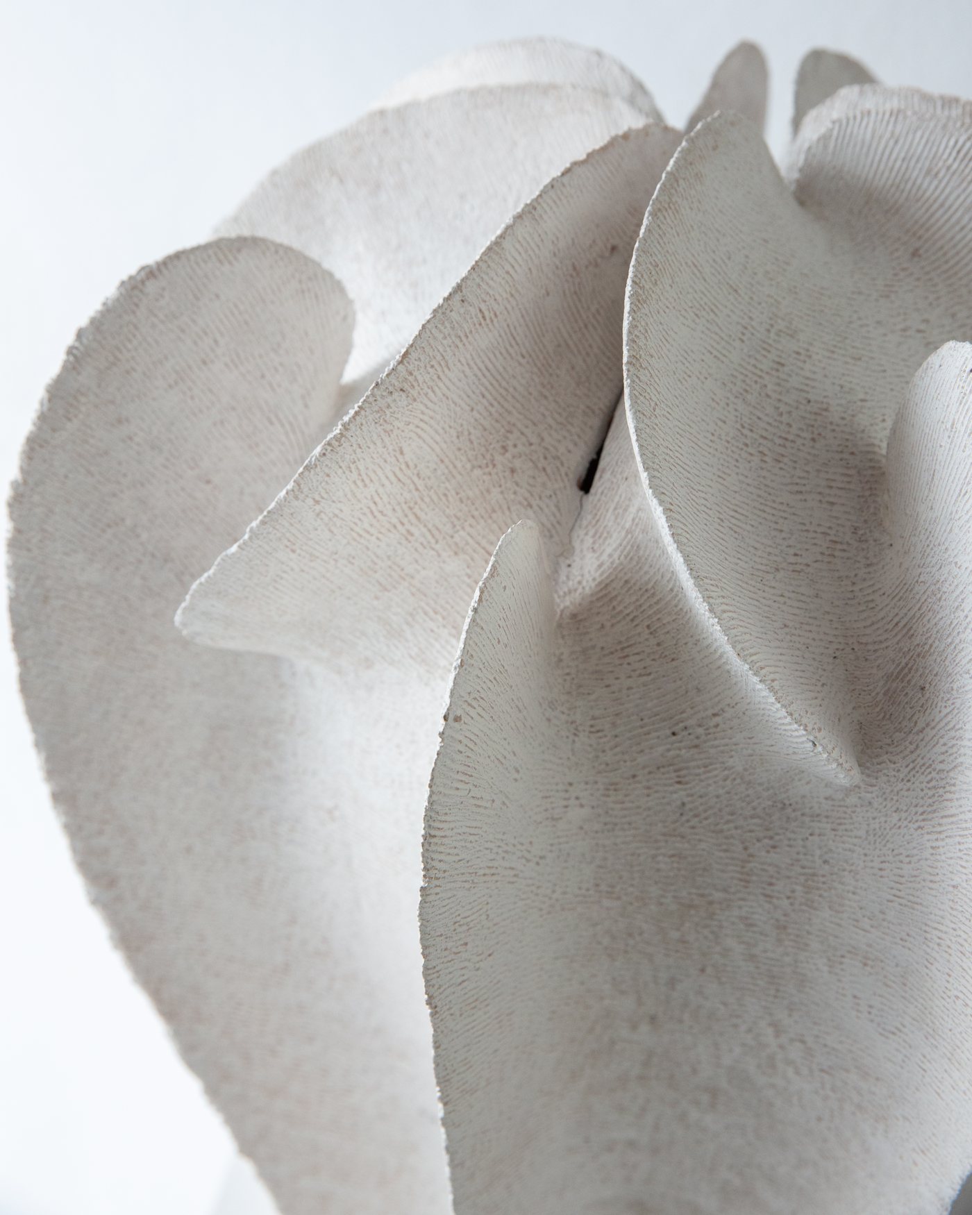 Close detail of a white petal-like ceramic vessel surface