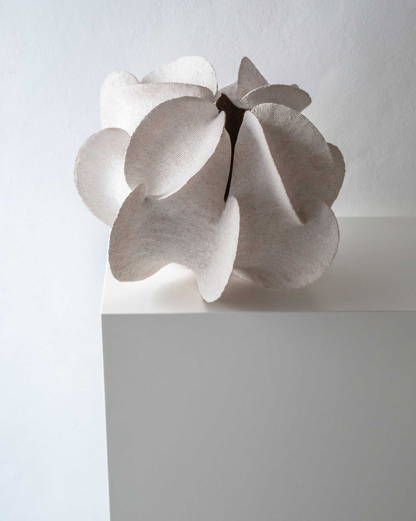 White shell-inspired ceramic bloom form on a plinth